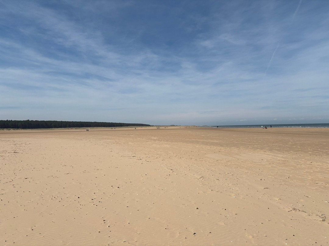 Holkham Bay-Wells-next-the-Sea必去景点