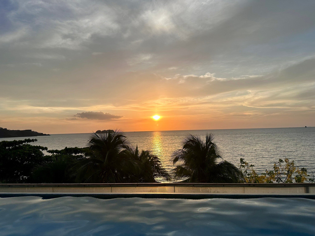 Hotel la Gaviota Tropical主图