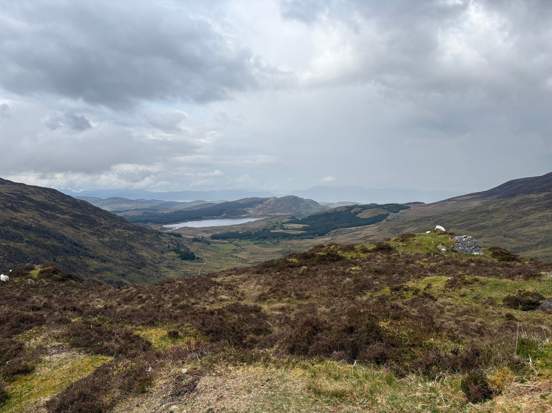 Álaind Walking Holidays-Sneem必去景点