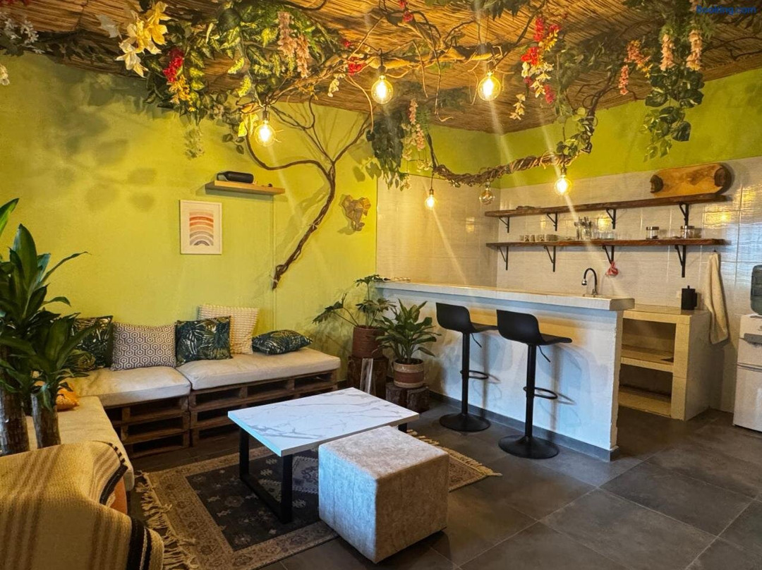 Casa Colibri - Hostel