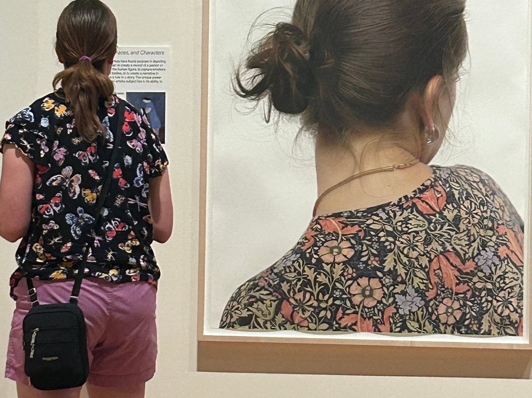 Fort Wayne Museum of Art-韦恩堡必去景点