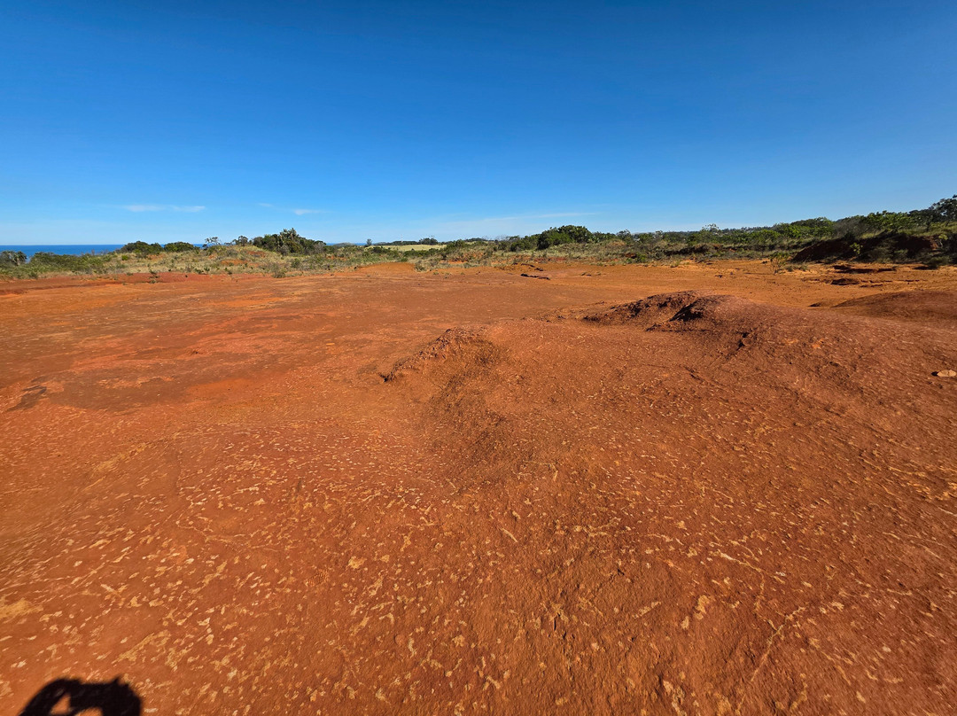 Red Desert-Port Edward必去景点