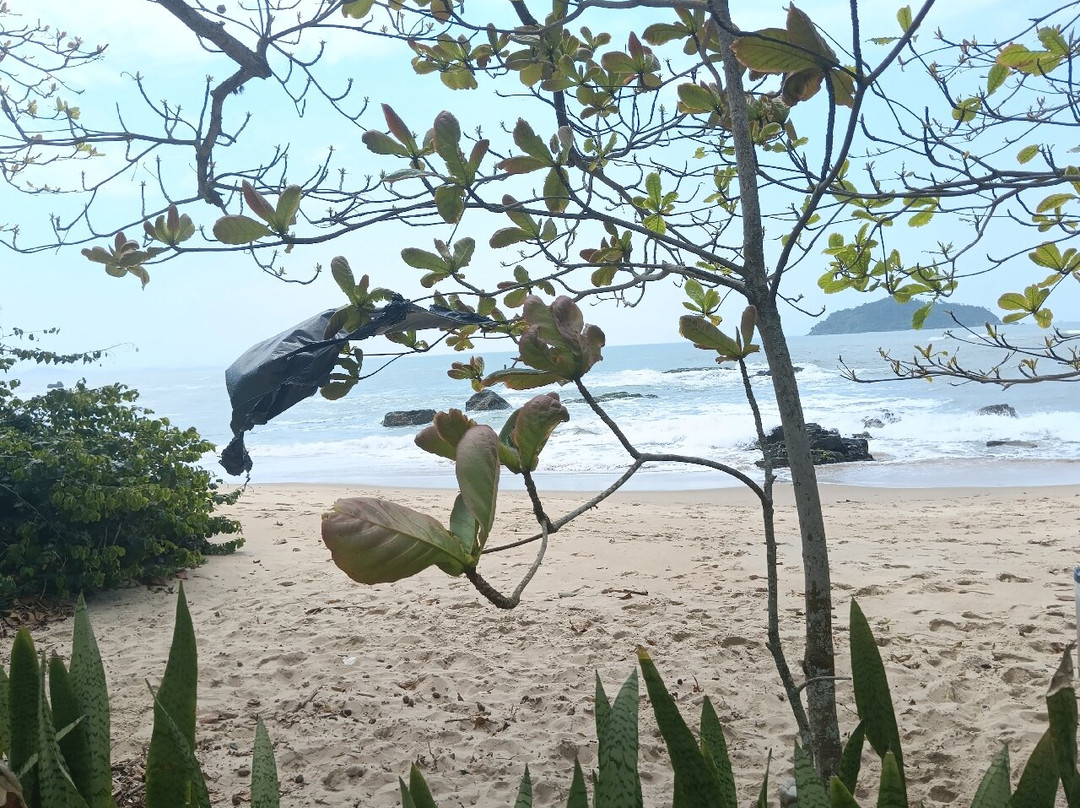 Praia Bacia Da Vovo-佩尼亚必去景点