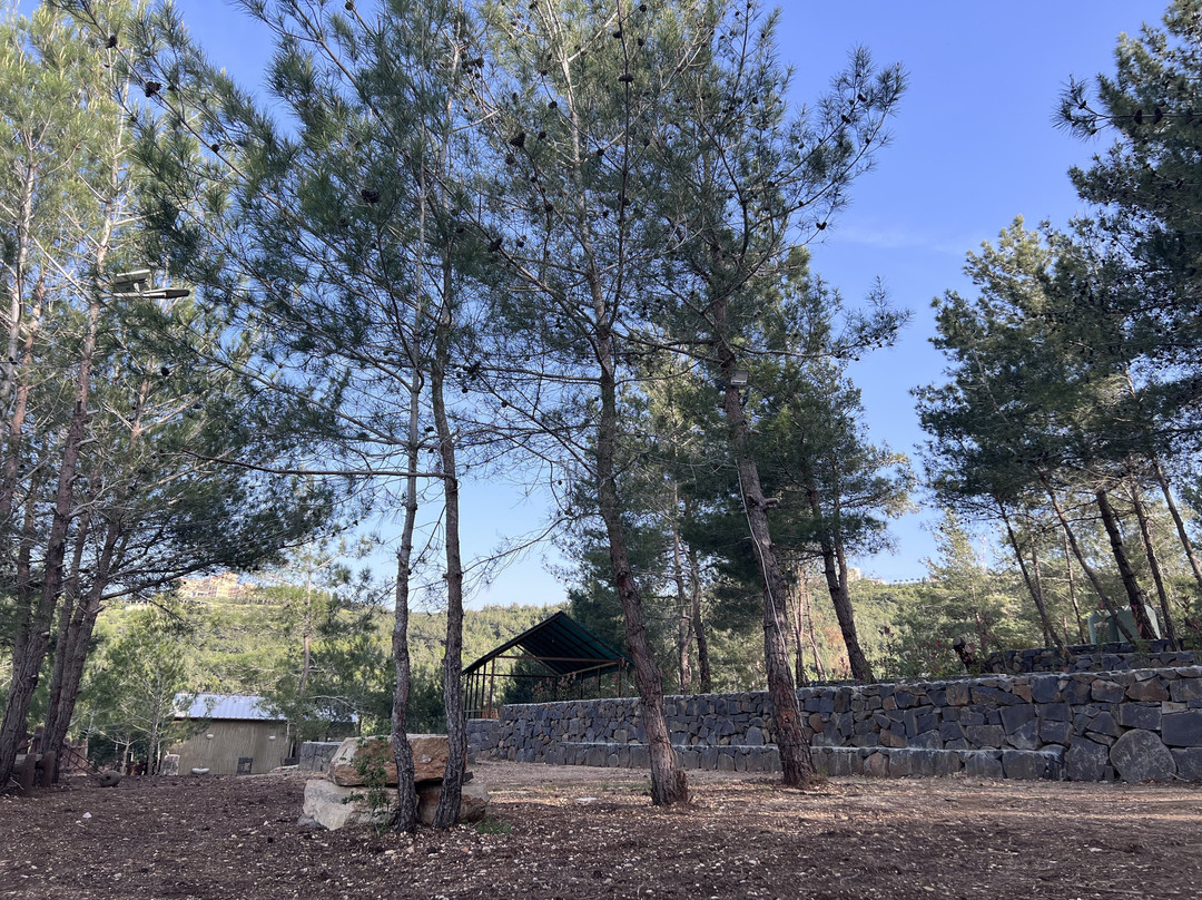 Horizon Pines - Camping, Glamping, Chalets in Kobayat, Lebanon