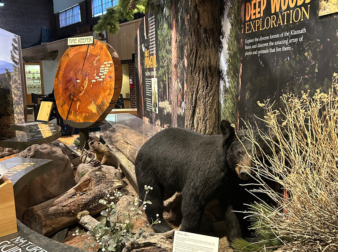 Klamath County Museum-克拉马斯福尔斯必去景点