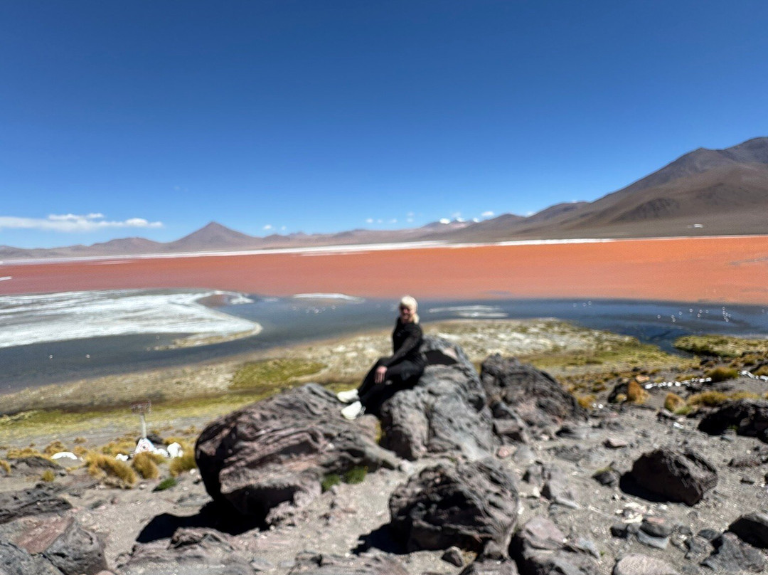 Laguna Colorada-乌尤尼必去景点