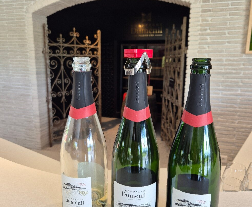 Champagne et Safran Dumenil-Sacy必去景点