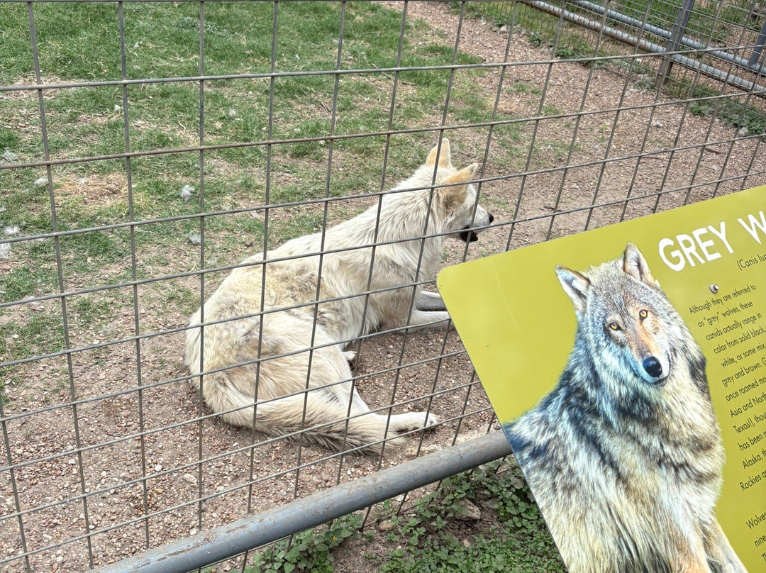 Animal World & Snake Farm Zoo-新布朗费尔斯必去景点