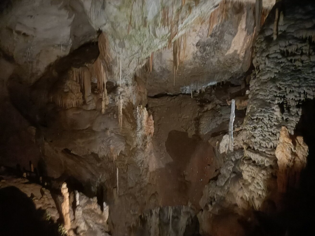 Postojna Cave-波斯托伊纳必去景点