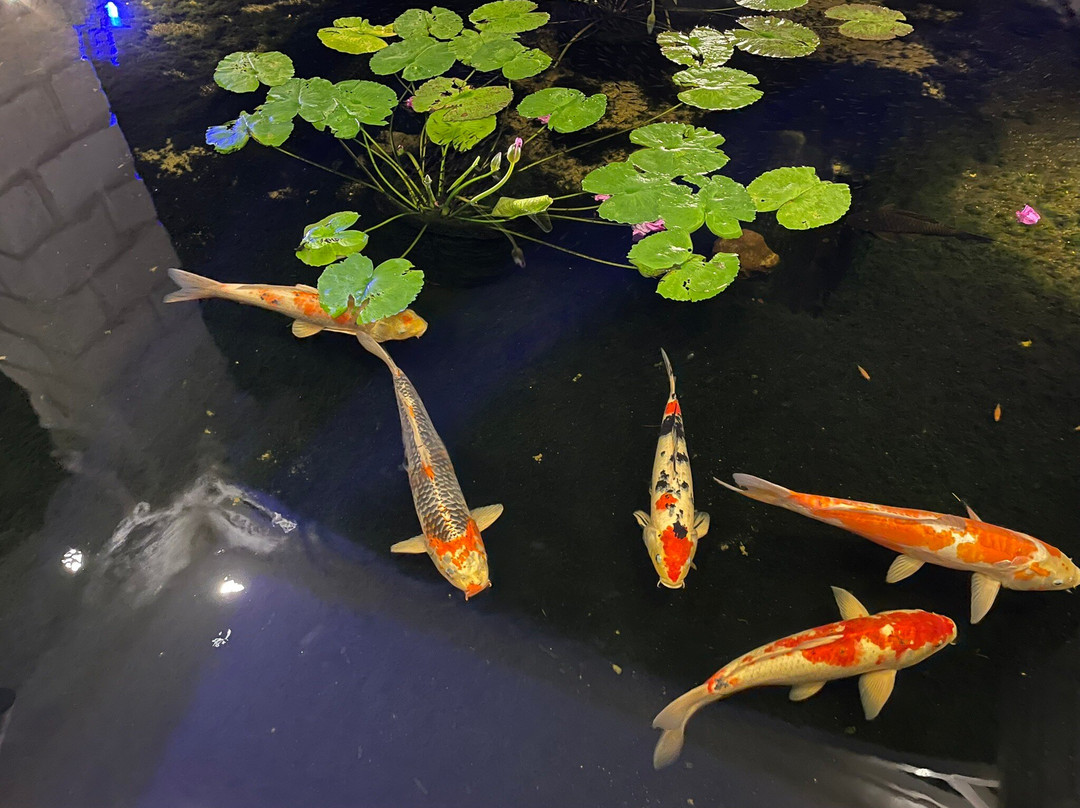 巴巴多斯丽笙水岸度假村主图