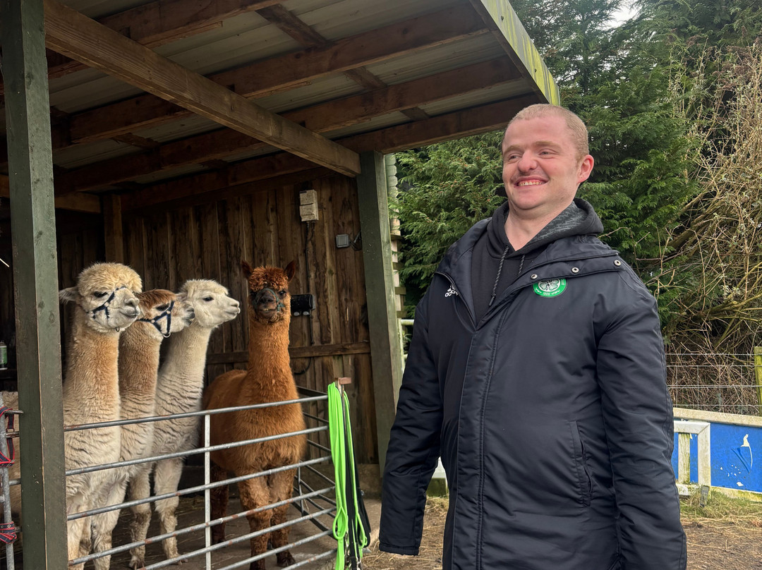 Larch Green Alpacas-格拉斯哥必去景点