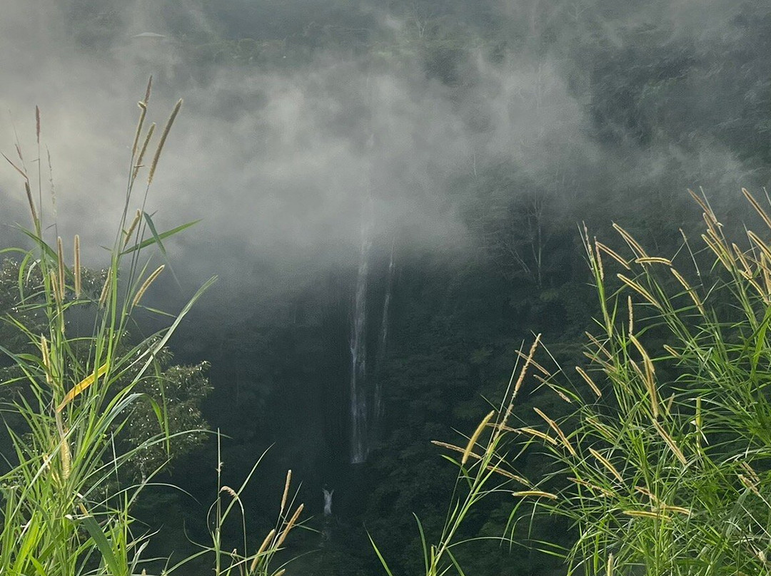 Papapapaitai Falls-阿皮亚必去景点