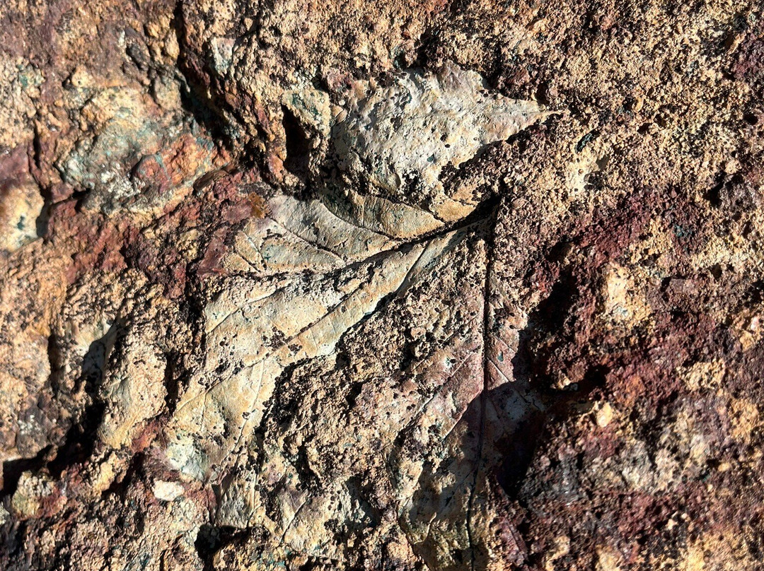John Day Fossil Beds National Monument-John Day必去景点