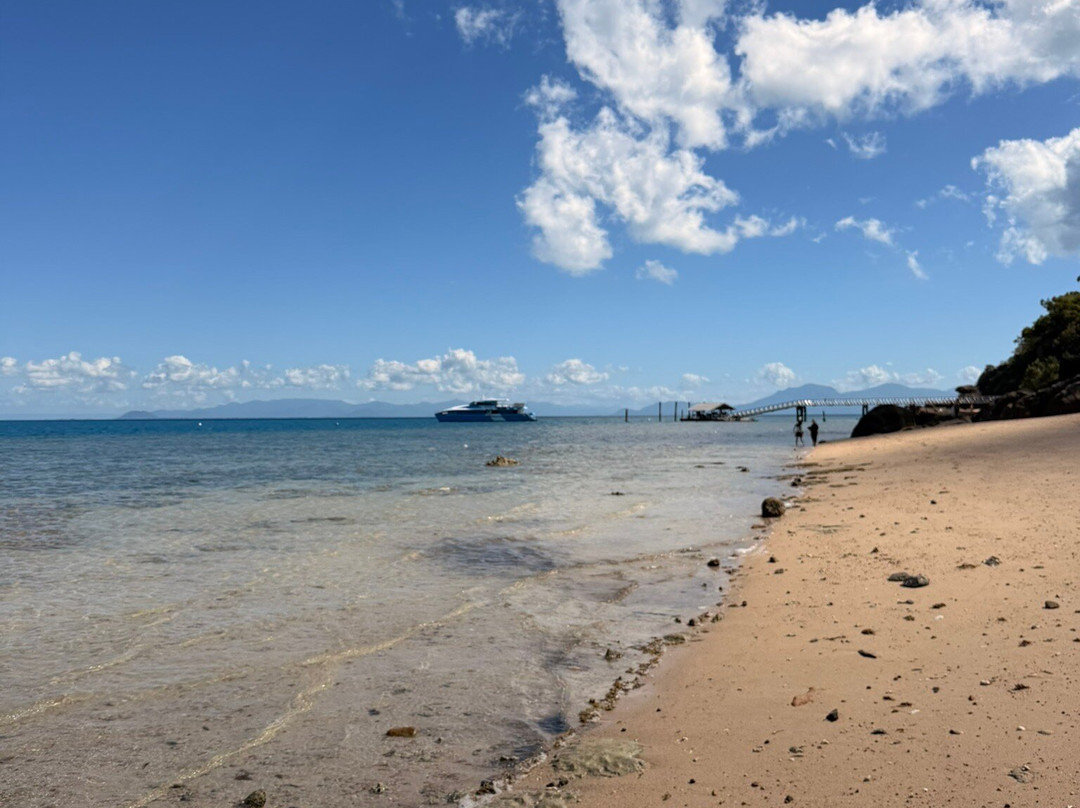 SeaLink Queensland - Magnetic Island Ferry Services-汤斯维尔必去景点