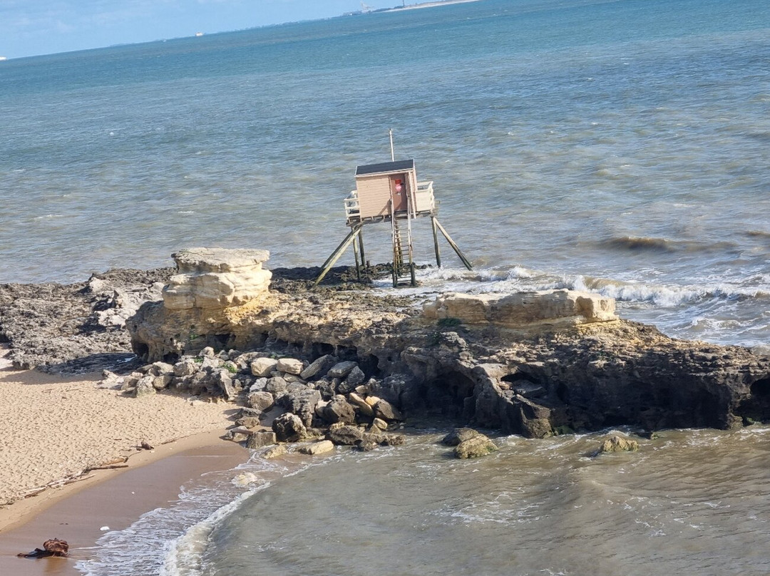 Cabanes à Carrelets - Saint-Palais-sur-Mer-Saint-Palais-sur-Mer必去景点
