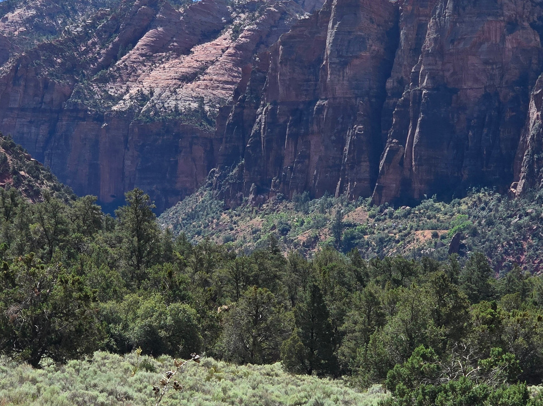 Canyon Trail Rides-锡安国家公园必去景点