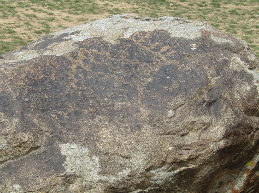Museum of Petroglyphs-乔尔蓬阿塔必去景点