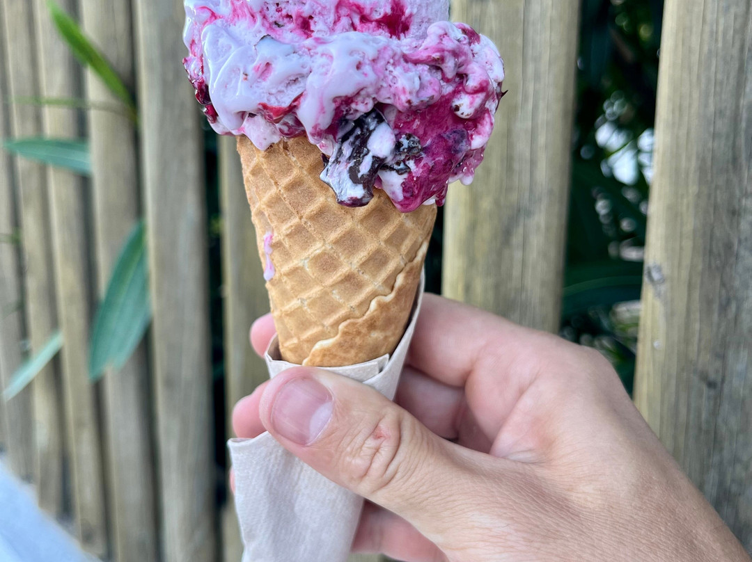 Gelats Valls