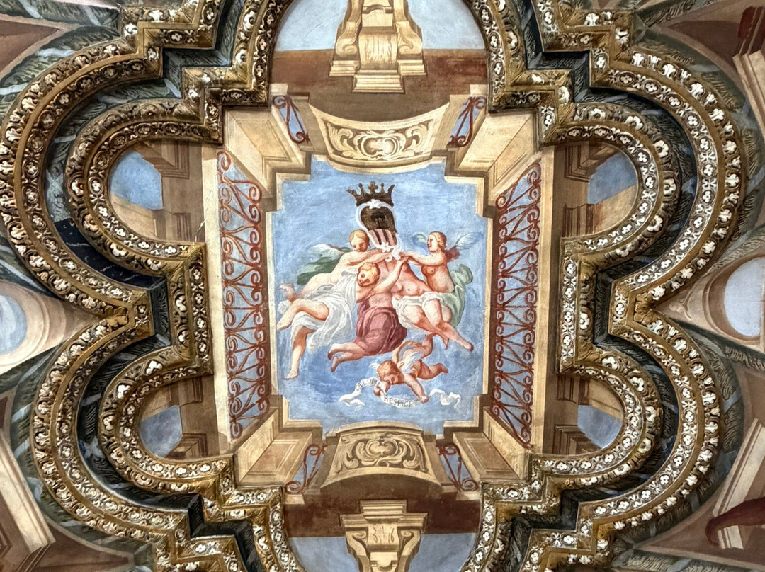 Palazzo Salis e Museo Senza Frontiere-蒂拉诺必去景点