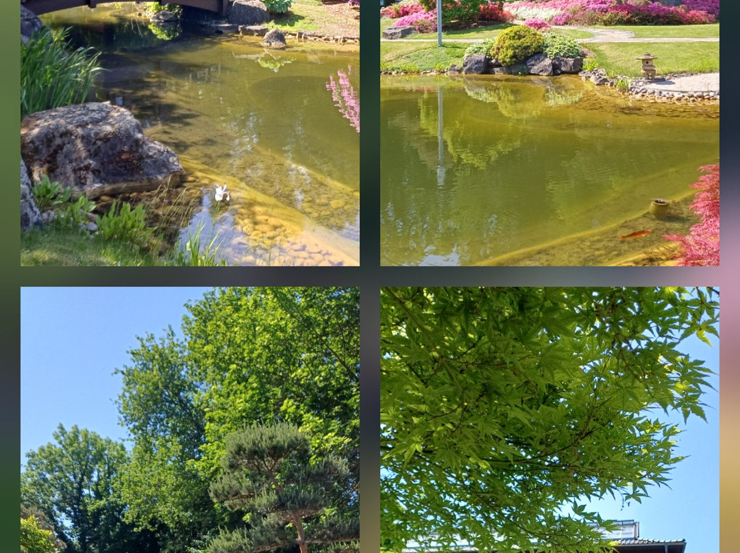 Japanischer Garten-Bad Langensalza必去景点