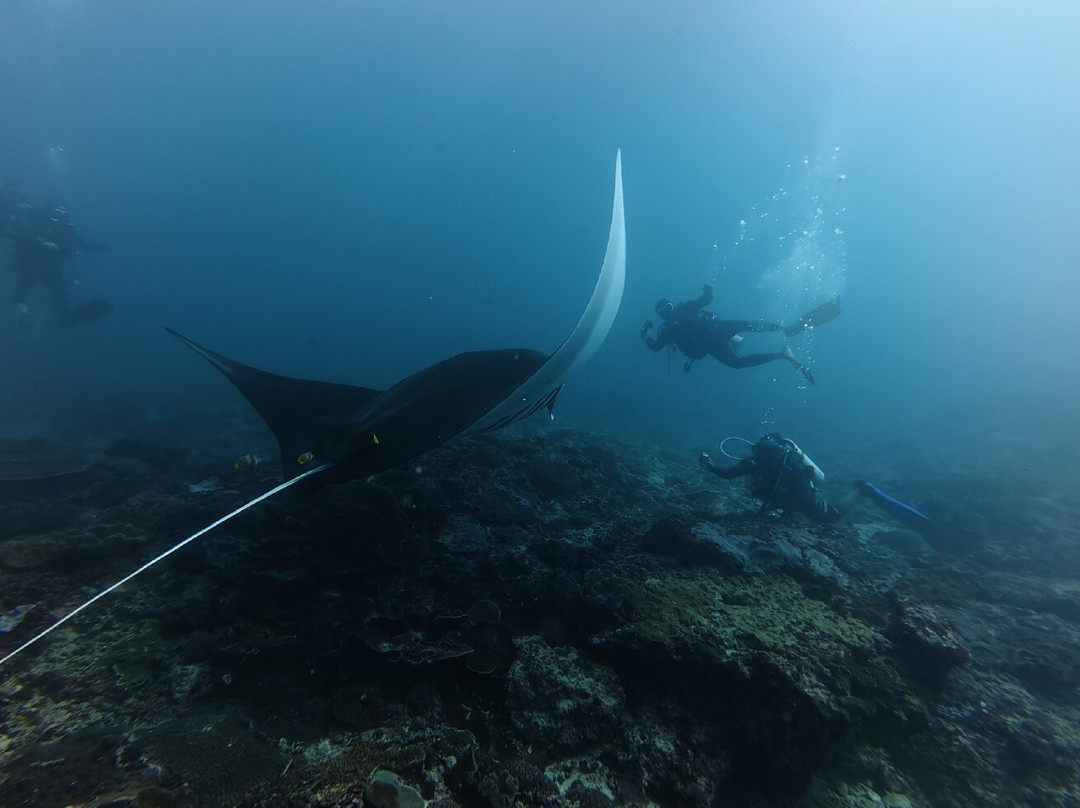 Scuba Go Sanur-Sanur Kauh必去景点