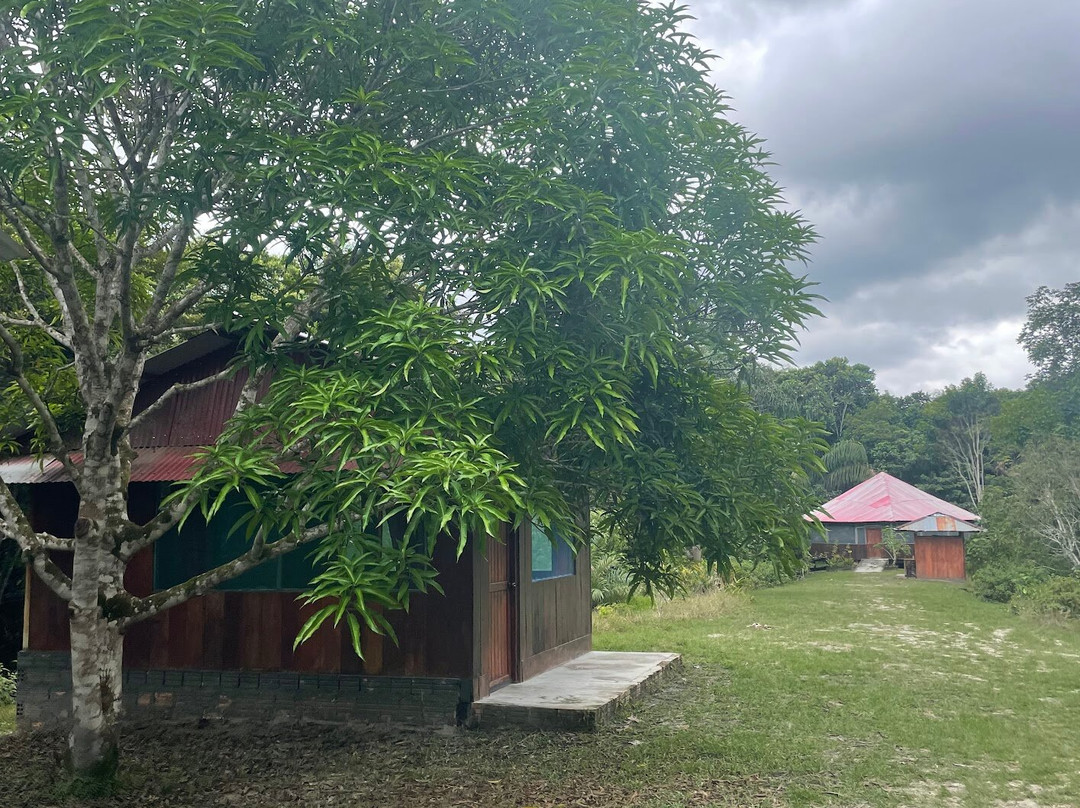 Selva Madre Healing Center-伊基托斯必去景点