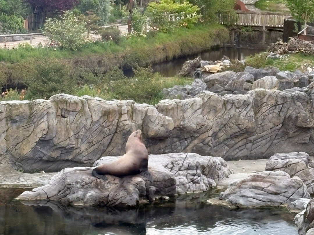 Pairi Daiza Resort主图
