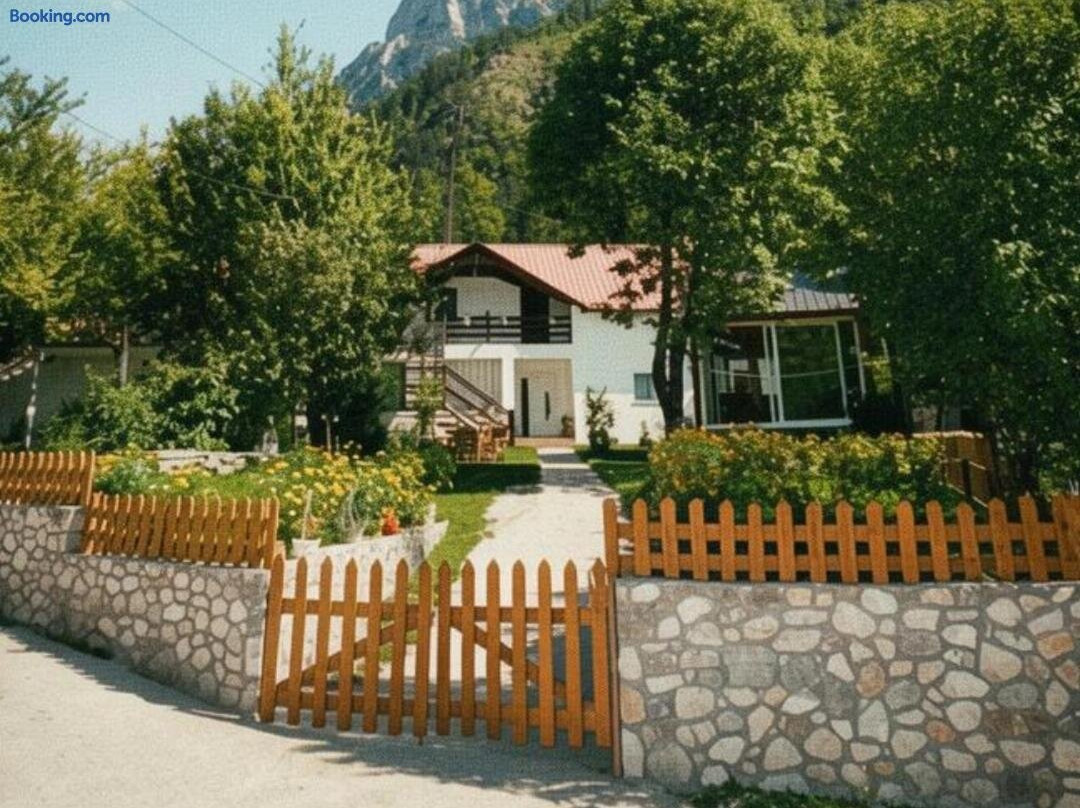 Bujtina Arlindi