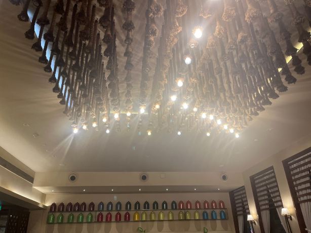 果阿坎多利姆诺富特酒店-旅行者