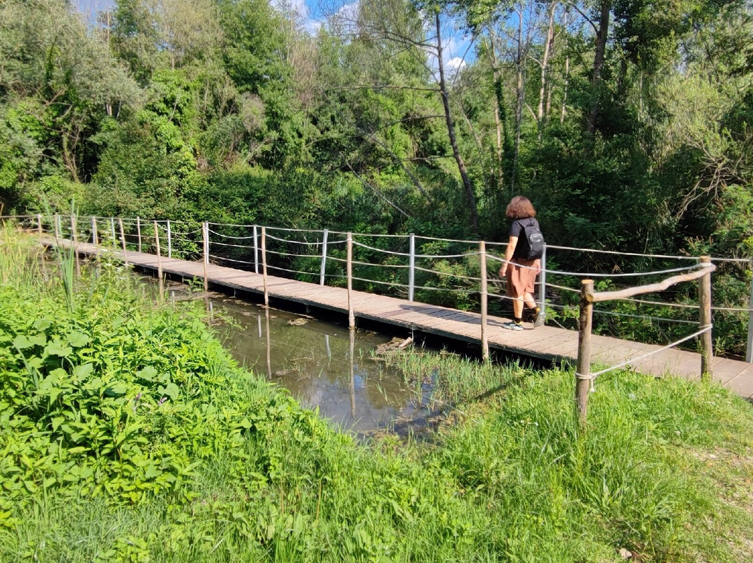Oasi Fiume Alento-Prignano Cilento必去景点