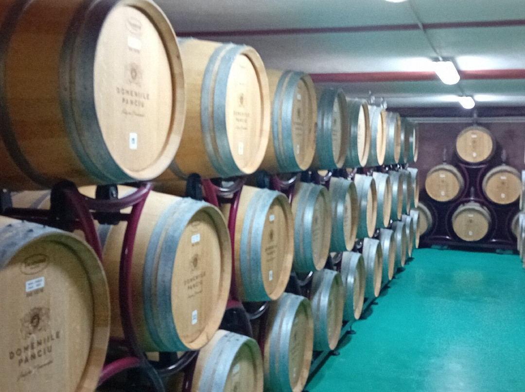 Domeniile Panciu Winery & Resort主图
