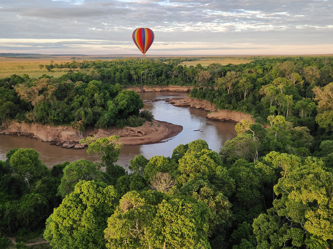 Governors’ Balloon Safaris-马赛马拉国家野生动物保护区必去景点
