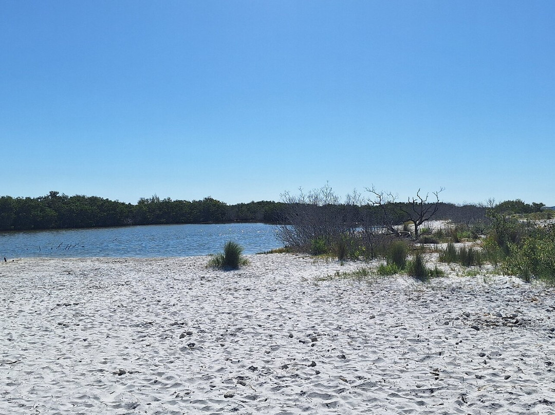 Honeymoon Island State Park-达尼丁必去景点
