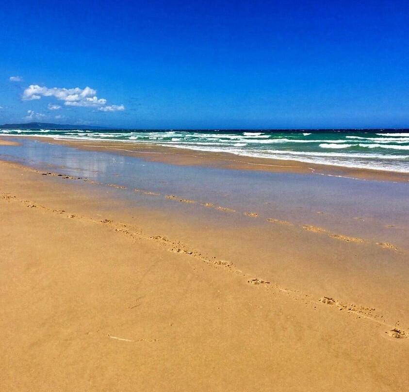 Noosa Main Beach-Noosa Heads必去景点