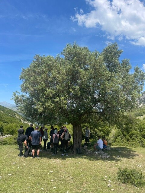 Albania Rafting Adventure-培拉特必去景点