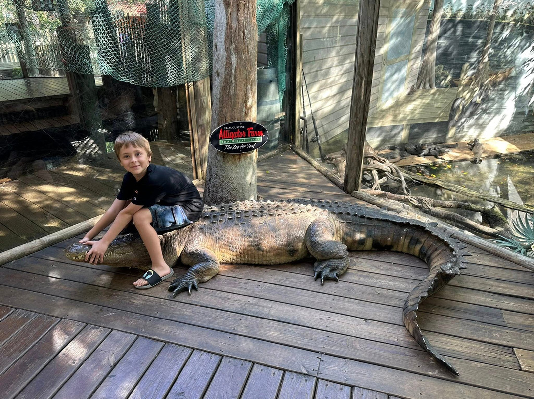 St. Augustine Alligator Farm Zoological Park-圣奥古斯丁必去景点