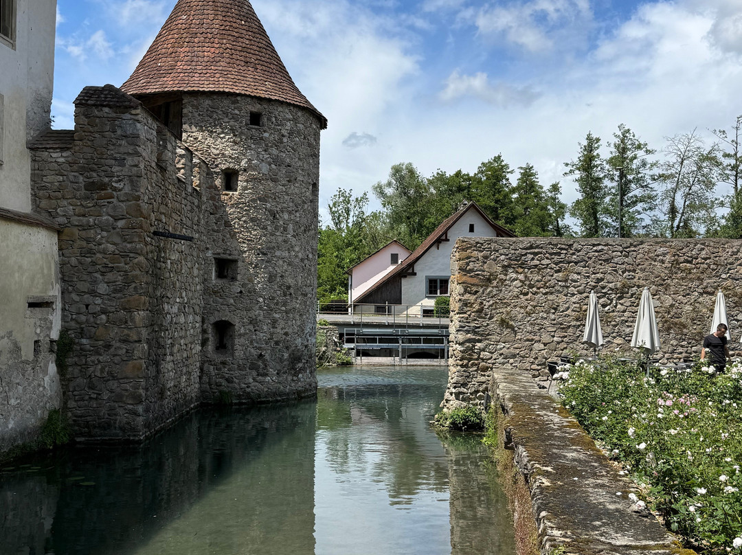 Schloss Hallwyl-Seengen必去景点