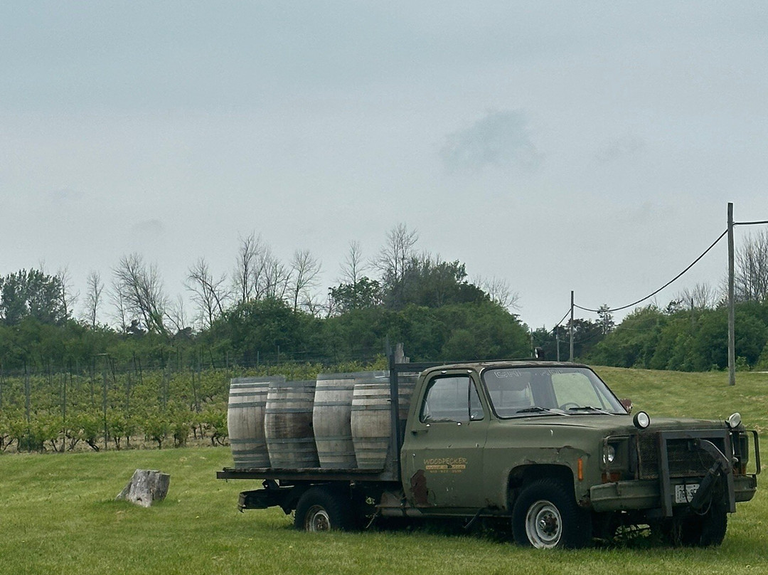 Karlo Estates Winery-Wellington必去景点