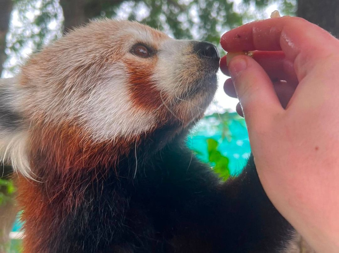 Shepreth Wildlife Park-Shepreth必去景点