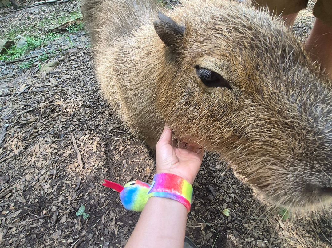 North Georgia Wildlife Park-Cleveland必去景点