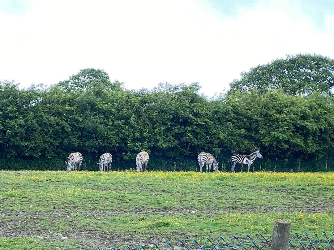 The Lake District Wildlife Park-Bassenthwaite必去景点