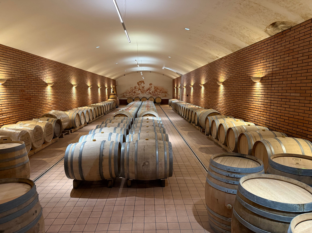 Domaine Comte Peraldi-Mezzavia必去景点