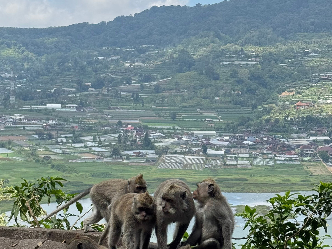 Twin Lake View-Wanagiri必去景点