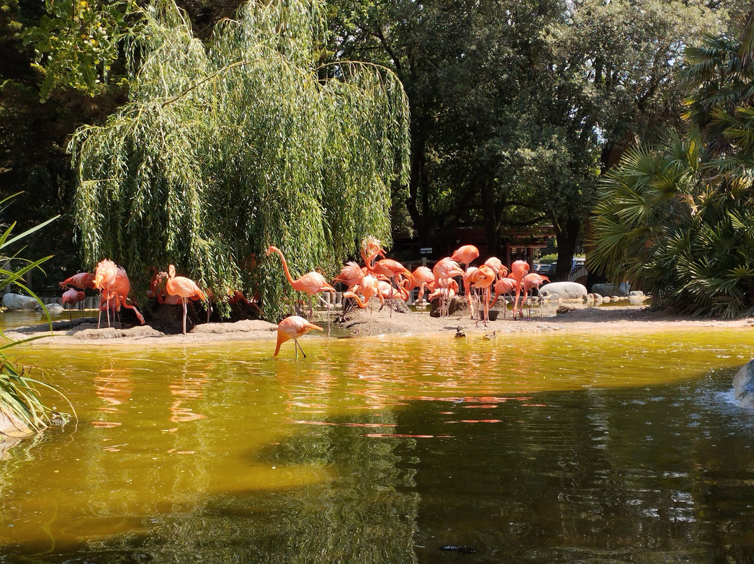 Zoo de La Palmyre-La Palmyre-Les Mathes必去景点
