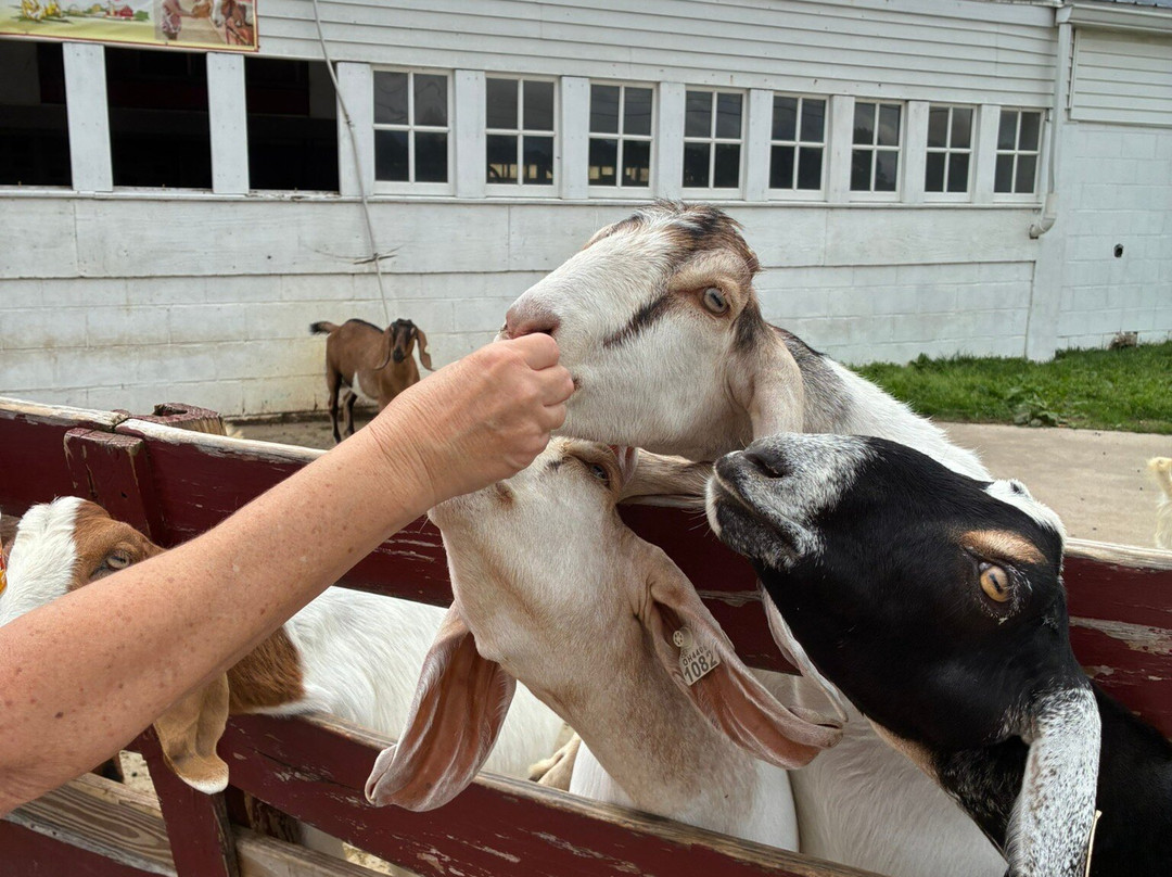 Young's Jersey Dairy Farm-Yellow Springs必去景点