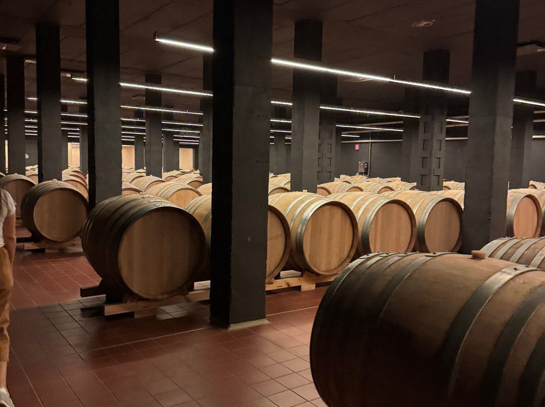 Pago de Carraovejas Winery-Penafiel必去景点