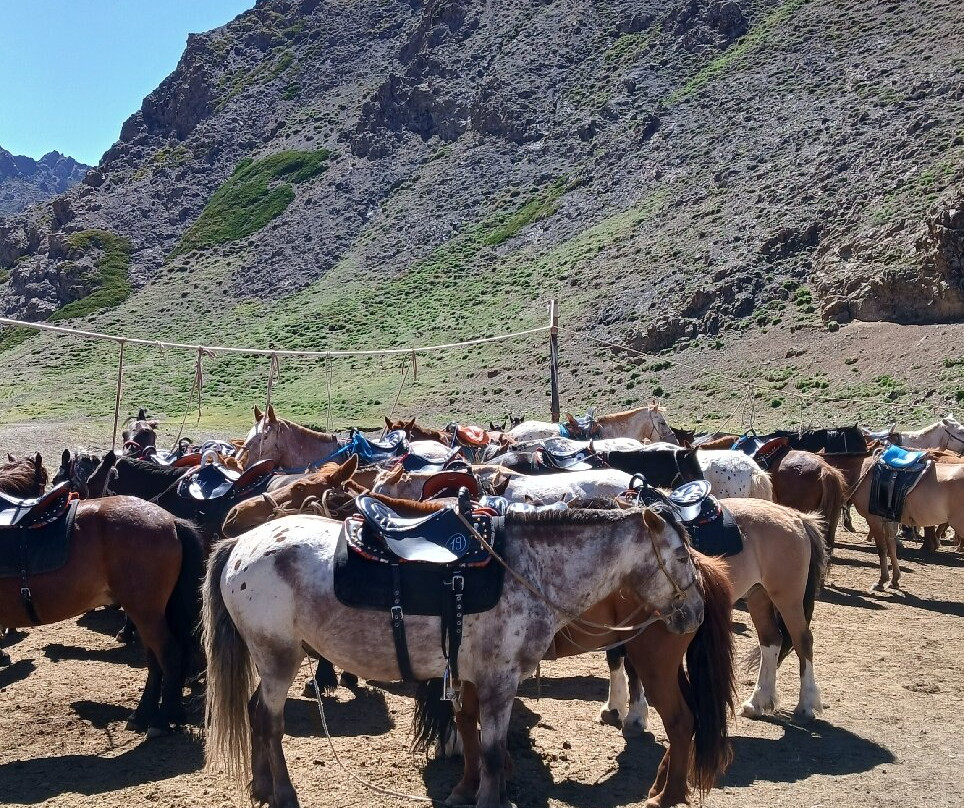 Gobi Gurvansaikhan National Park-Gobi Gurvansaikhan National Park必去景点