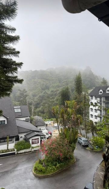 草莓园度假村-旅行者