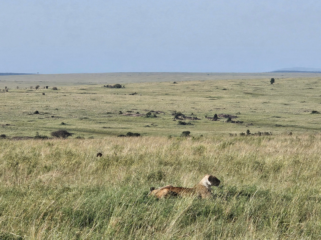Super Africa Wildlife And Adventure Safaris-Kisii必去景点