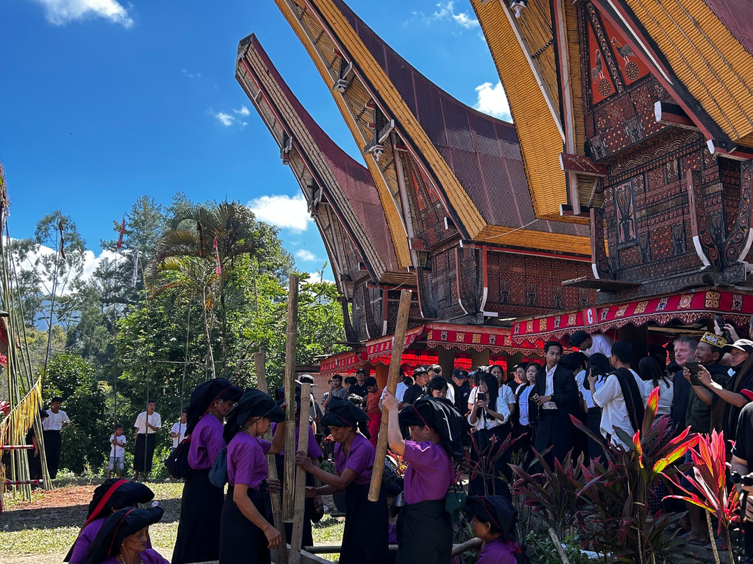 Tana Toraja Tours with Luther-兰特包必去景点